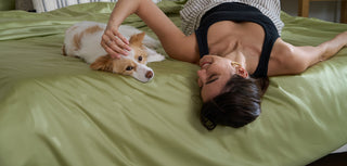 Pet hair repellent bedding: the go-to choice for pet owners