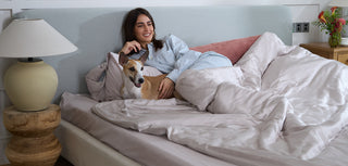 The best bedding for every type of pet owner