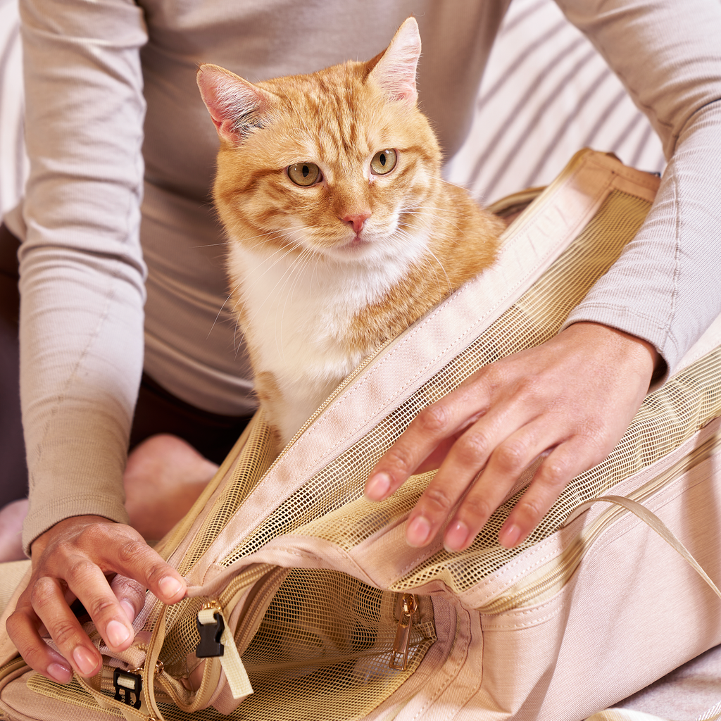 Pet Travel Essentials Slashop.Inc