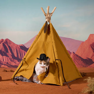 ZEZE Pets Teepee Tent