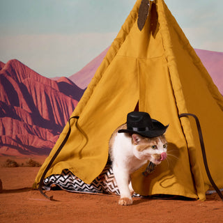 ZEZE Pets Teepee Tent