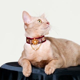 Velvet Choker Collar for Cats