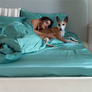 FURRFREE Bamboo Flat Sheet - Pet Hair Repellent for Dogs/Cats Family - Limited Time Offer