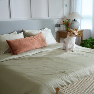 FURRFREE Bamboo Sheet Set - Pet Hair Repellent for Dogs/Cats Family