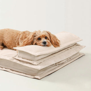 Anti-Anxiety with Sponge Support Deep Sleeping Dog Bed