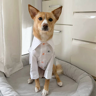 Cooling Anti-Allergy Bamboo Dog Shirt