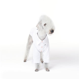 Cooling Anti-Allergy Bamboo Dog Shirt