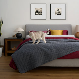 FURFREE Quilt Set - Pet Hair Repellent for Dogs/Cats Family