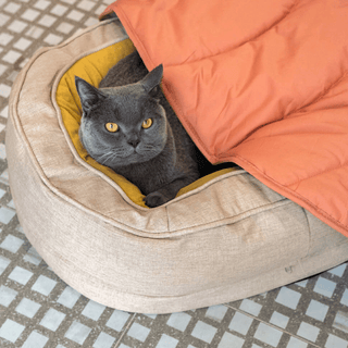 Furry Foliage Pet Mat