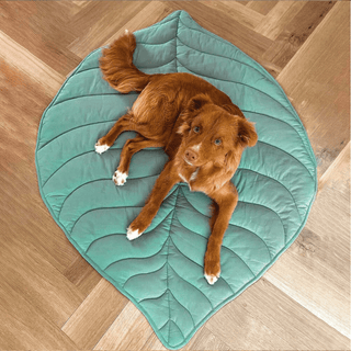 Furry Foliage Pet Mat