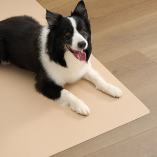 Leather-Textured Easy to Clean Floor Mat