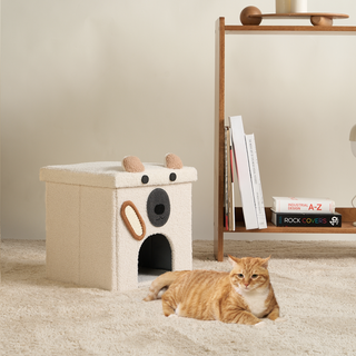 Paw Palace Dog & Cat Pod