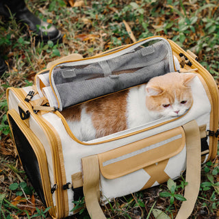 Portable Foldable Breathable Designer Pet Carrier Bag