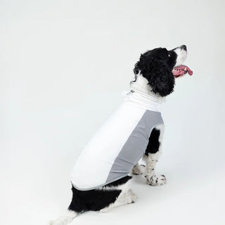 SBL Cooling Dog Vest