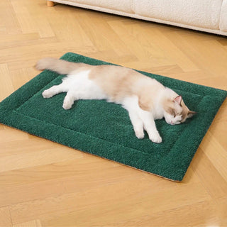 Warm Comfortable Non-slip Plush Dog & Cat Mat