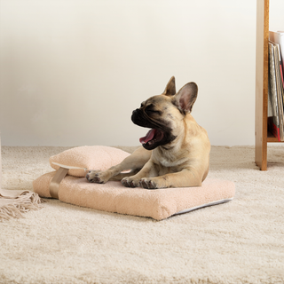 ZenPaws Tatami Lounger