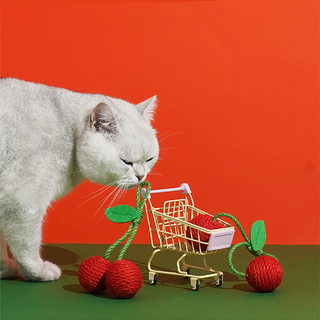 ZEZE Pets Tropical Fruit Cat Toys