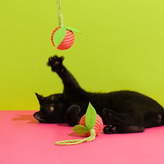 ZEZE Pets Tropical Fruit Cat Toys